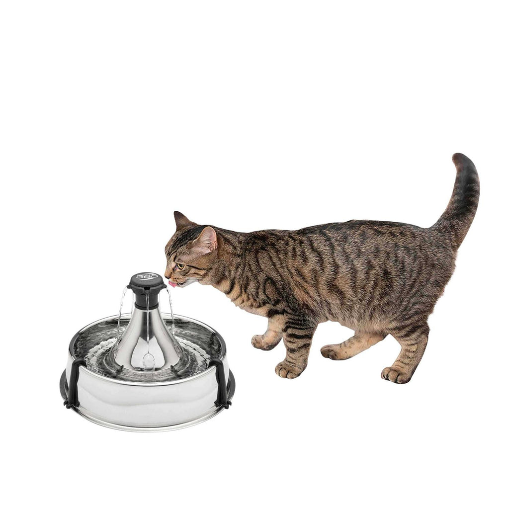 Stainless Steel Pet Fountain P541