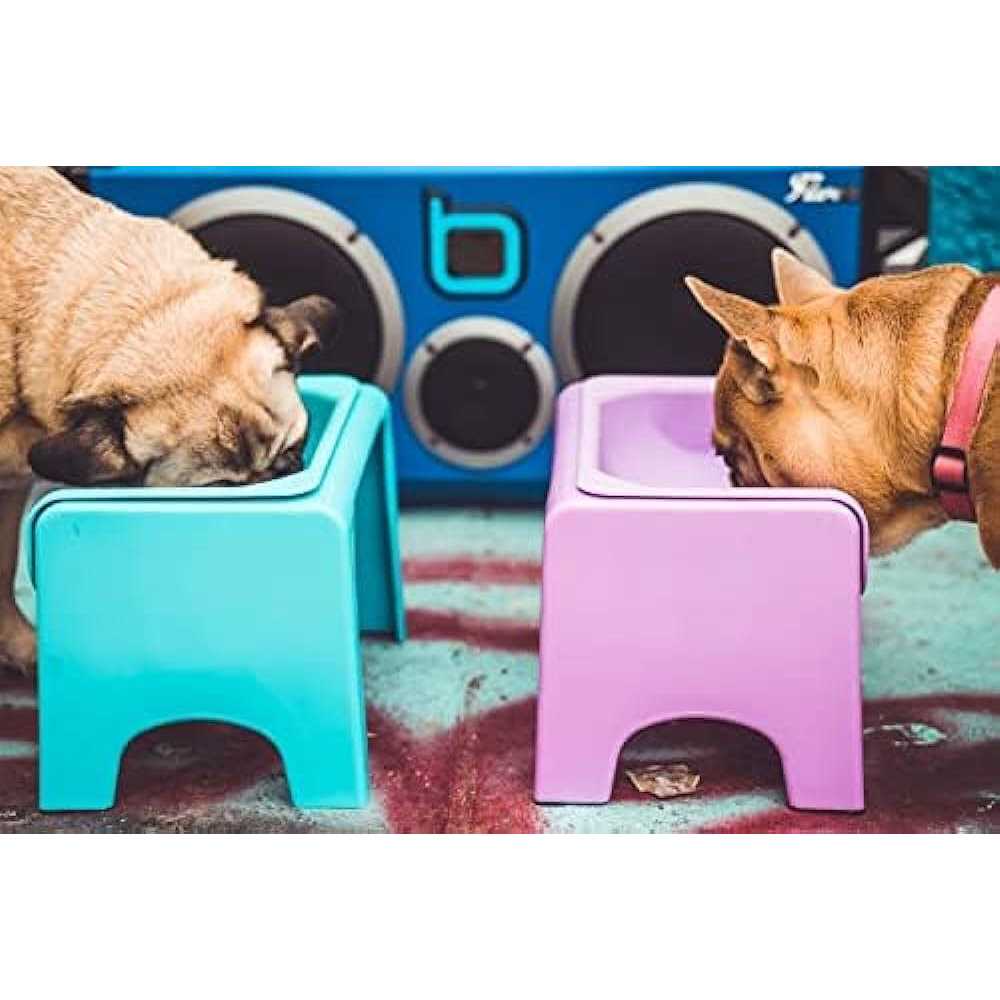 Elevated Dog & Cat Feeder H448