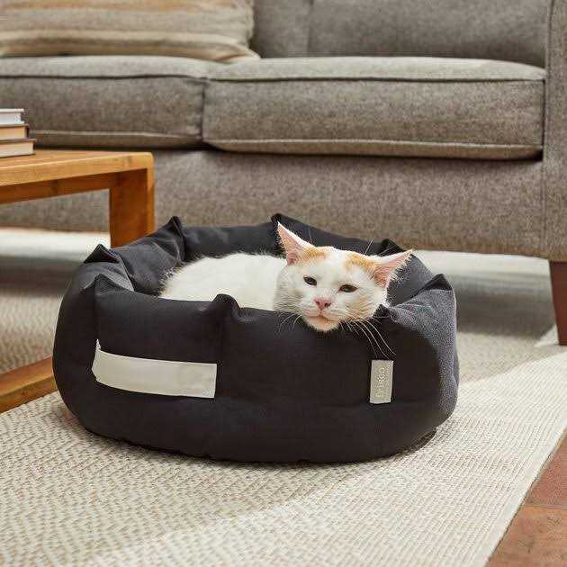 Indoor/Outdoor Bolster Cat & Dog Bed U4288