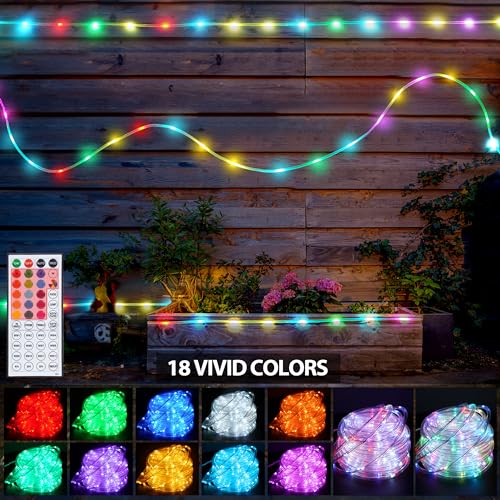 33ft Warm White 100 LED Rope Lights with Remote Y198