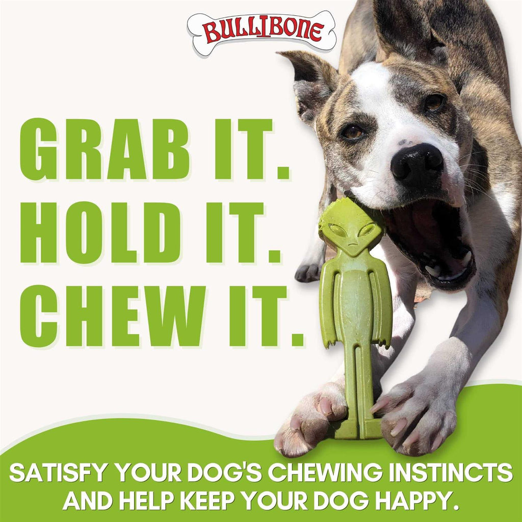 Small Dog Chew Toy with Easy Hold Grips J426991