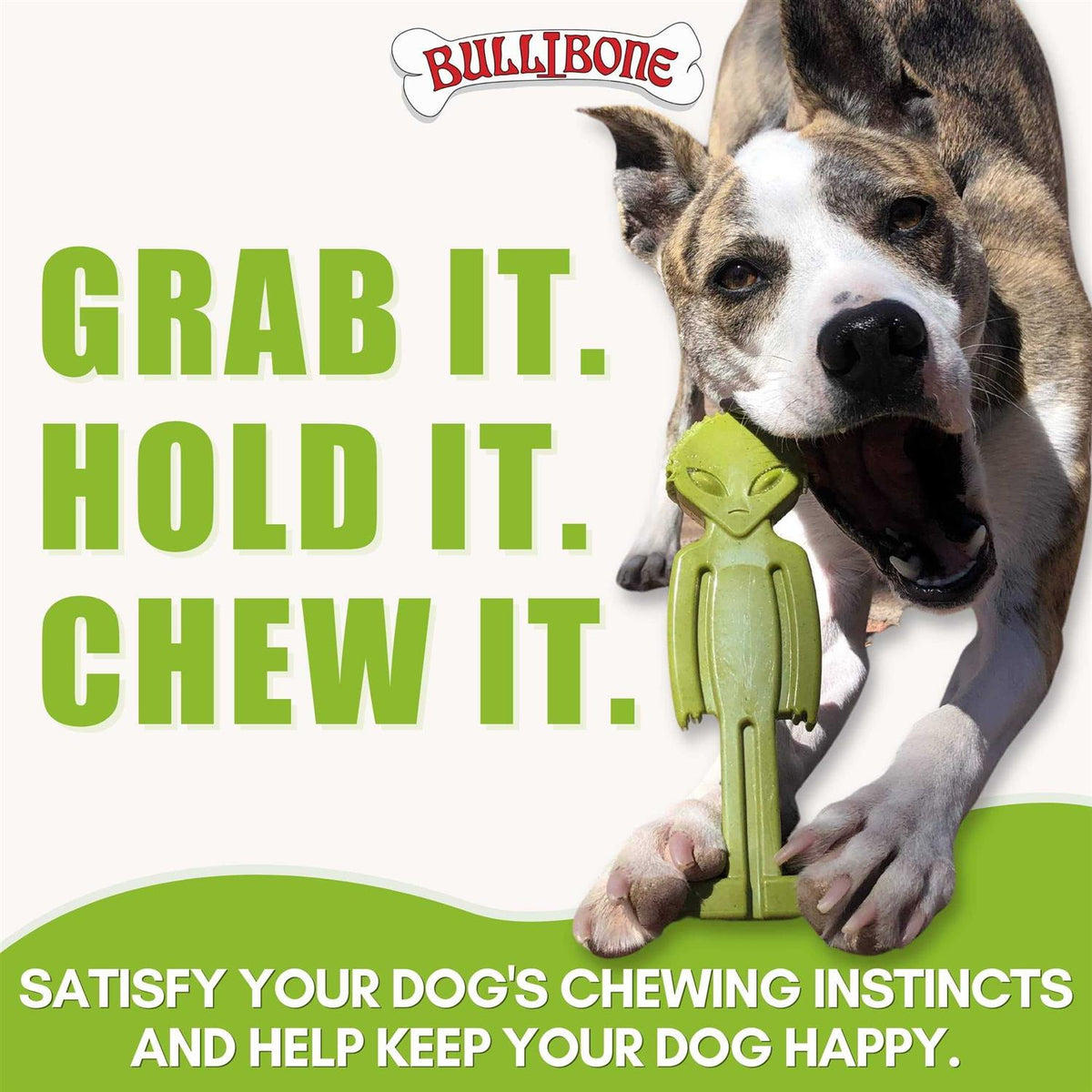 Small Dog Chew Toy with Easy Hold Grips J426991