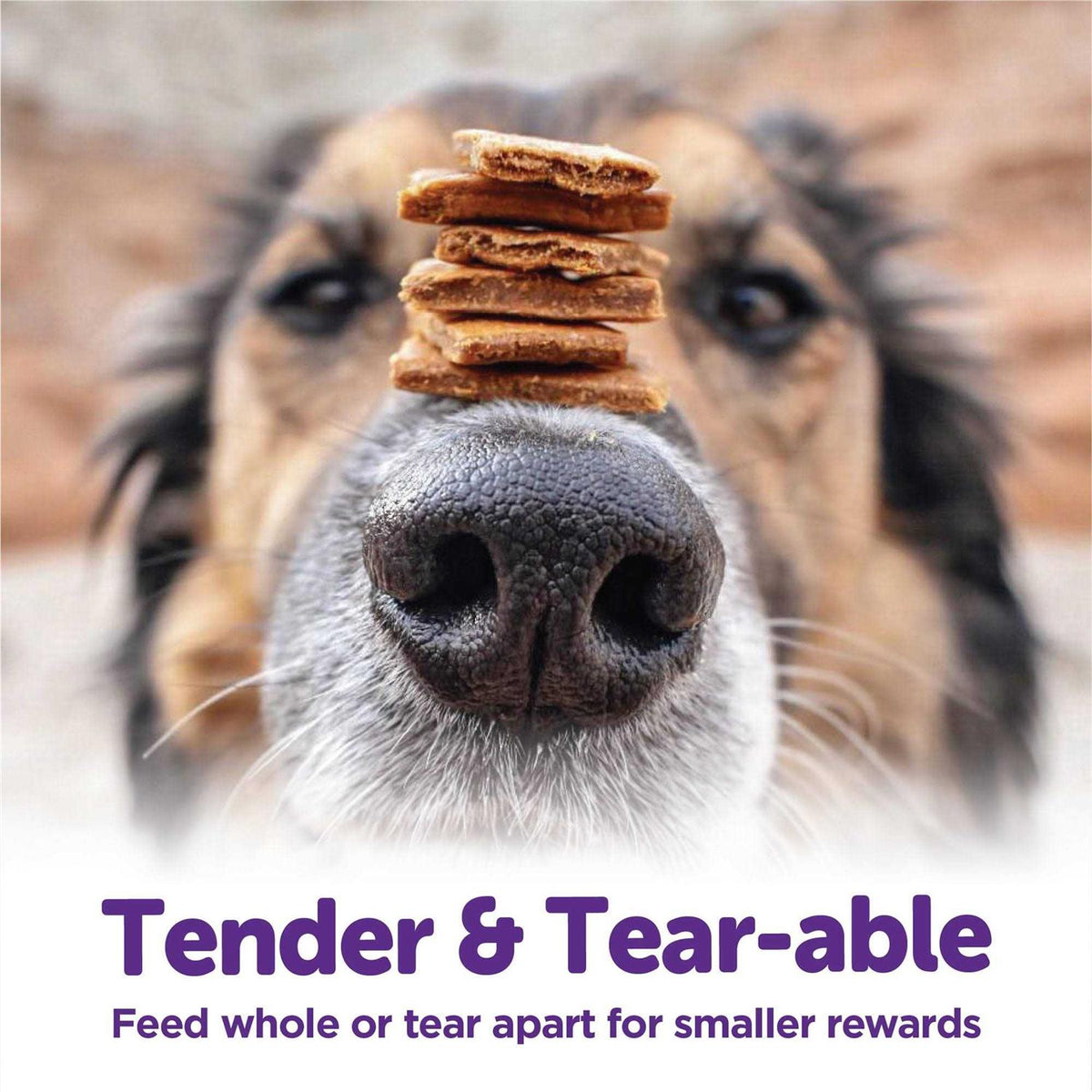 Soft Dog Treats K444643