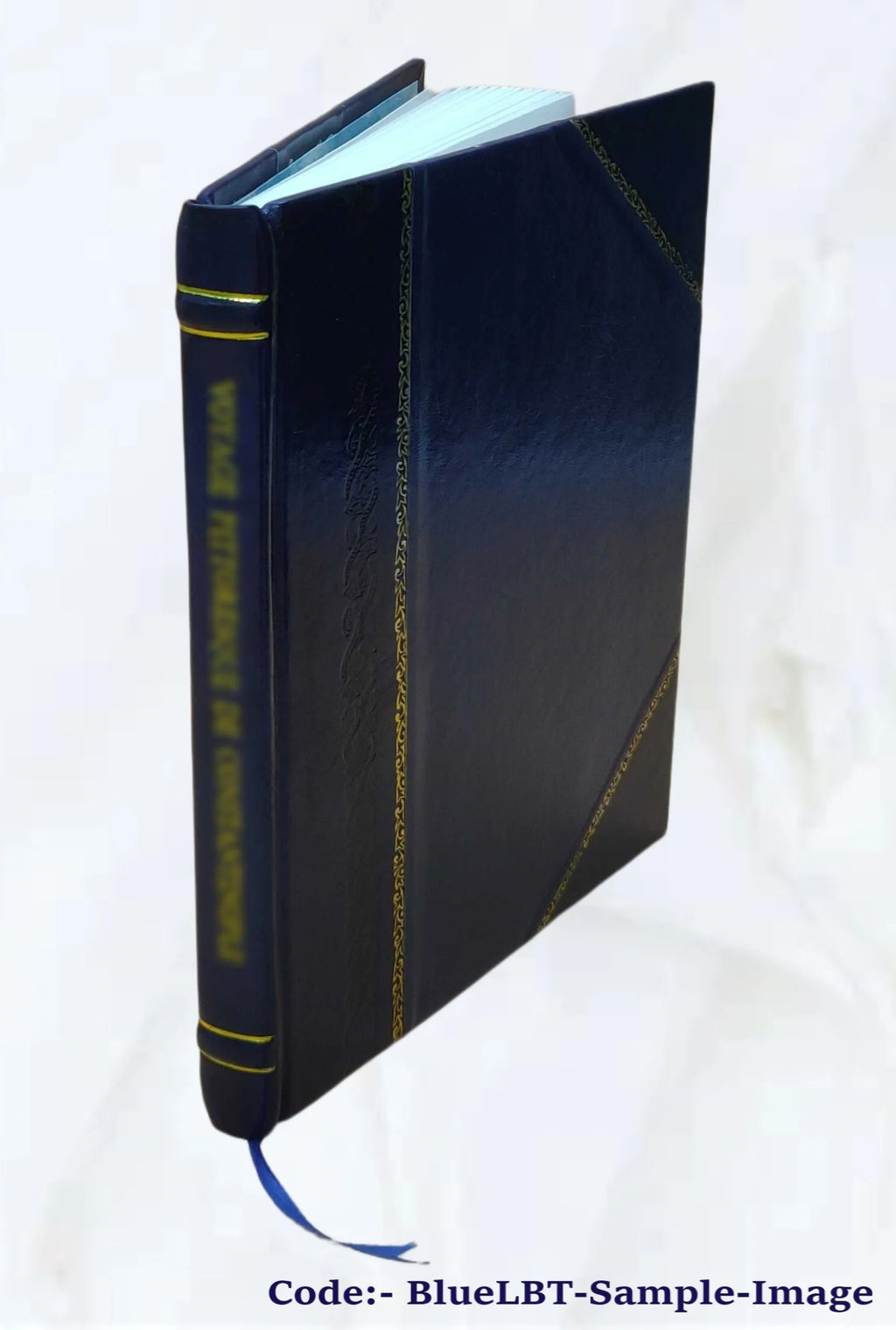 Leather Bound Book Y398