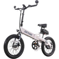 Folding Electric Bike I298