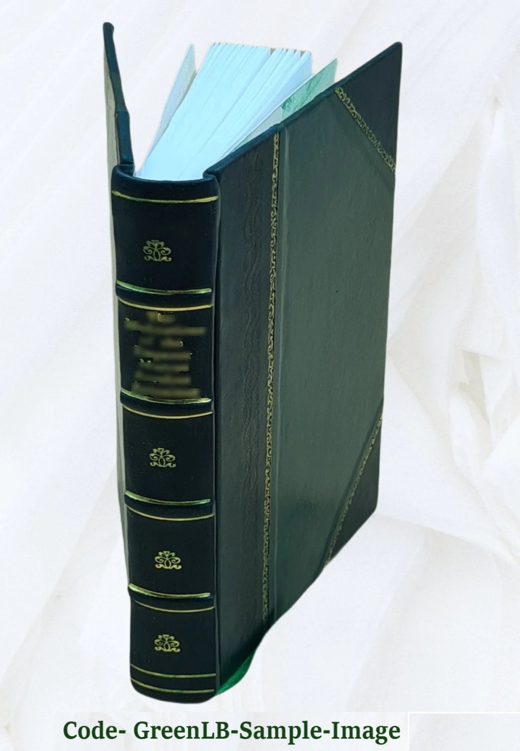 Leather Bound V6213