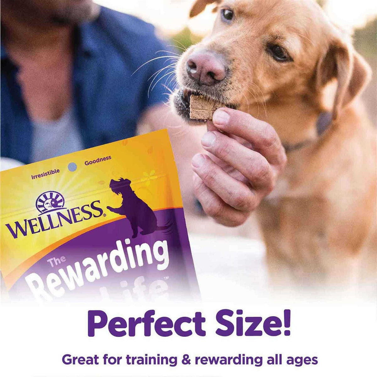 Soft Dog Treats K444643