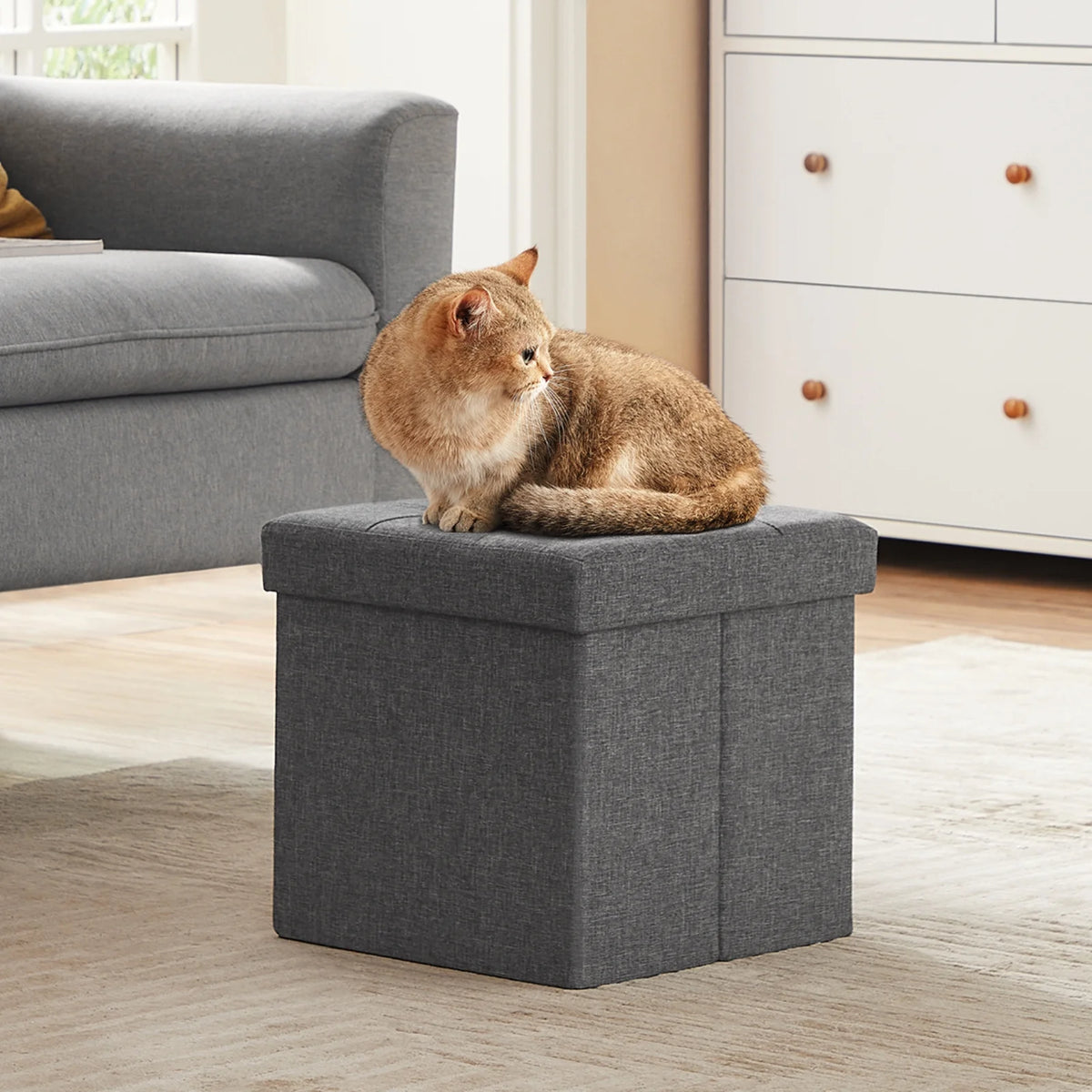 11.8" Dark Gray Storage Ottoman H3596