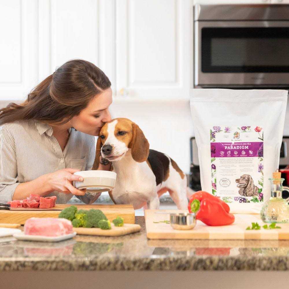 Dog Food V6297
