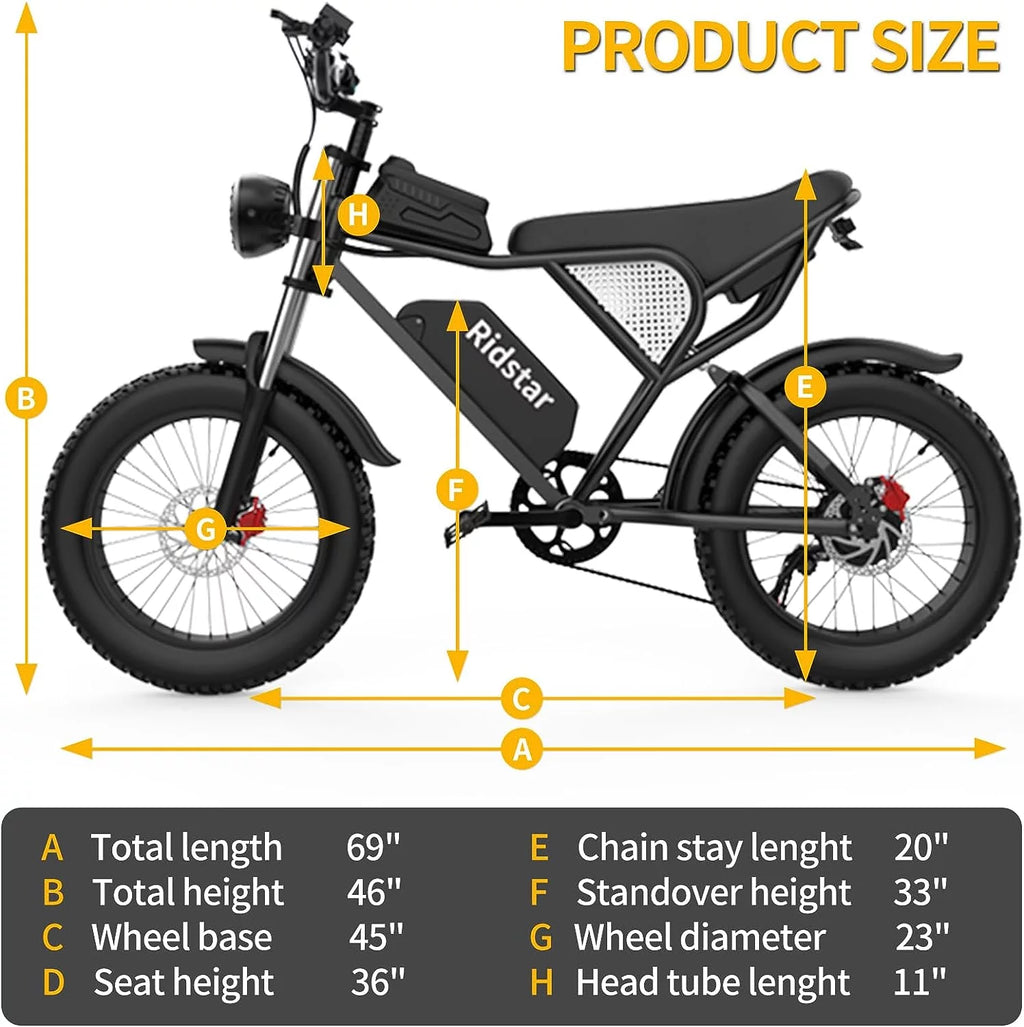 20" Fat Tire 1000W Electric Bike with Removable 48V/20Ah Battery Q674