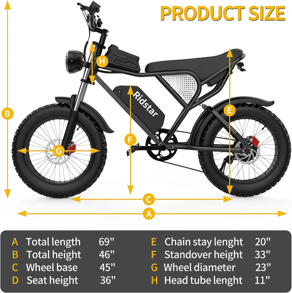 20" Fat Tire 1000W Electric Bike with Removable 48V/20Ah Battery Q674