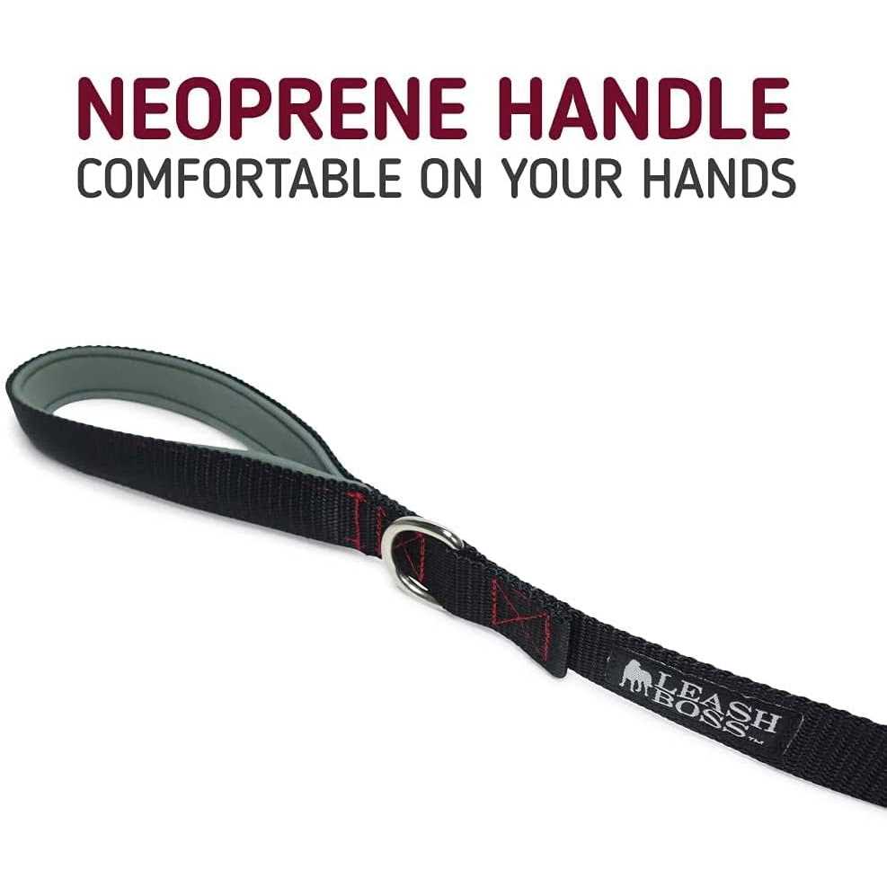 10 Foot Dog Leash with Padded Handle D73926