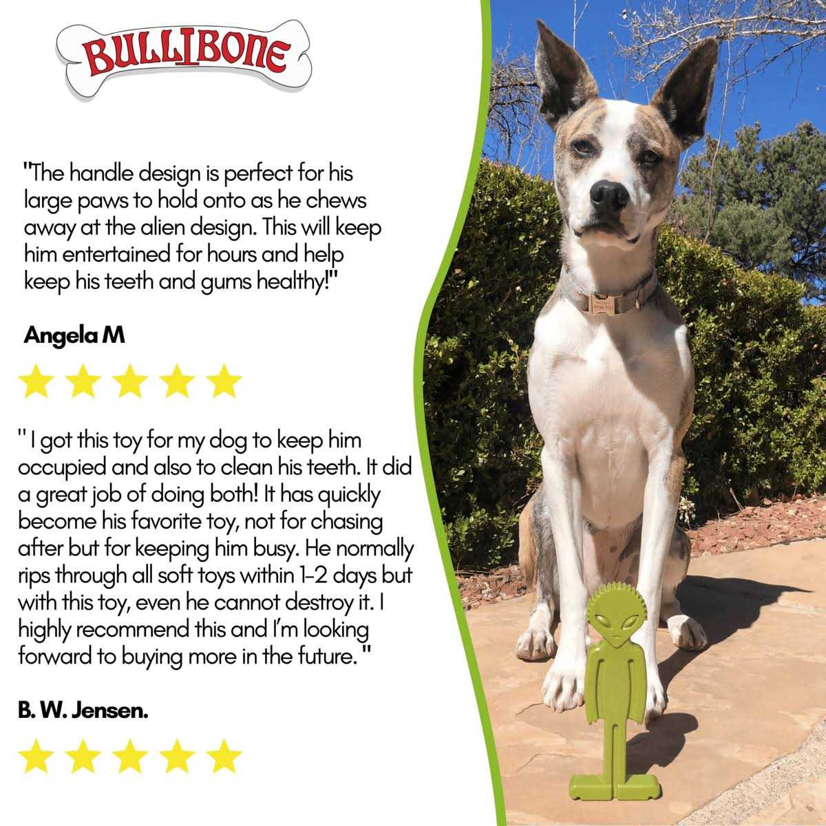 Small Dog Chew Toy with Easy Hold Grips J426991