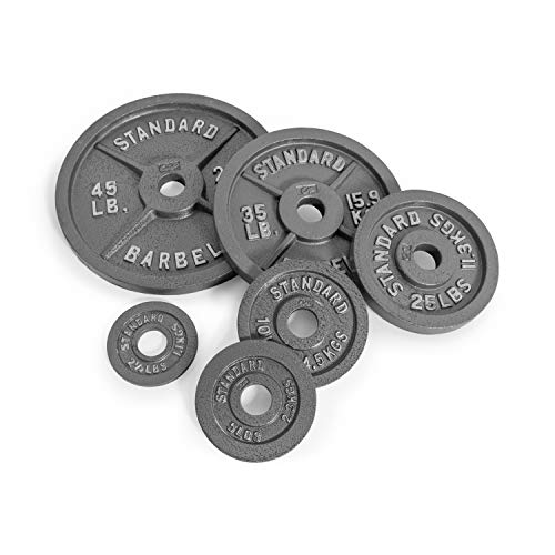 Gray Olympic Weight Plates U8452