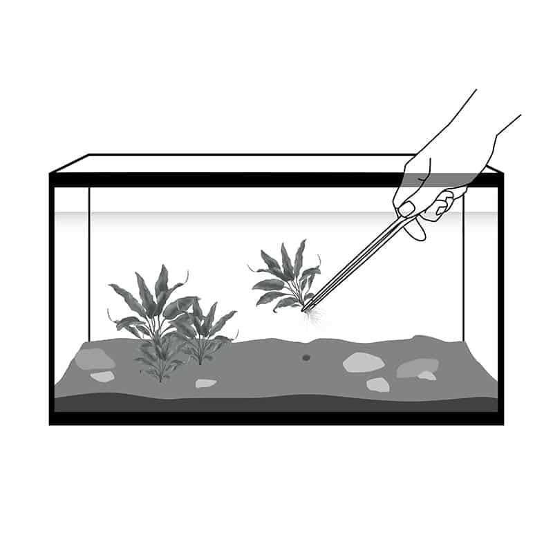 Aquarium Forceps A601