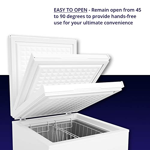 Chest Freezer M302