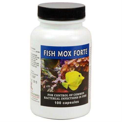 Fish Flex Forte 500 mg 100 Capsules H223468