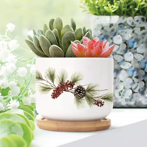 Blue and White Porcelain Ceramic Planters with Bamboo Trays O79293