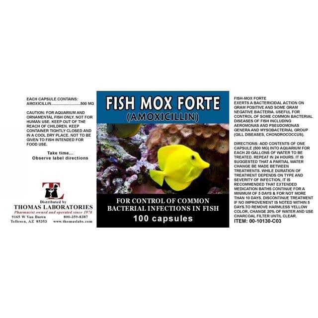 Fish Flex Forte 500 mg 100 Capsules H223468