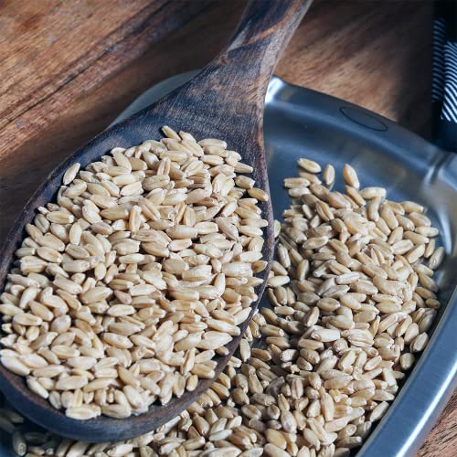 Organic Hard White Wheat Berries L924