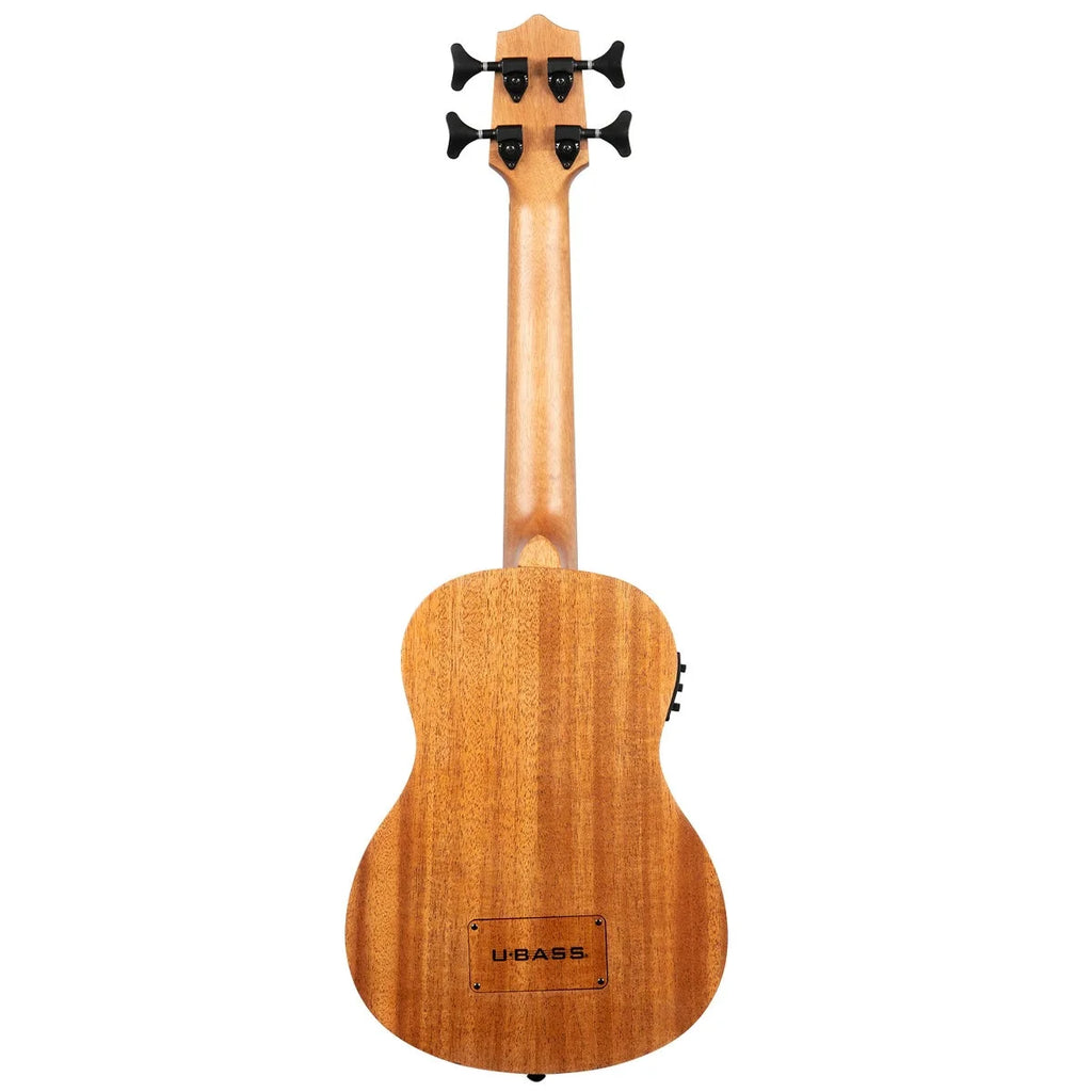 Acoustic-Electric U-BASS P173