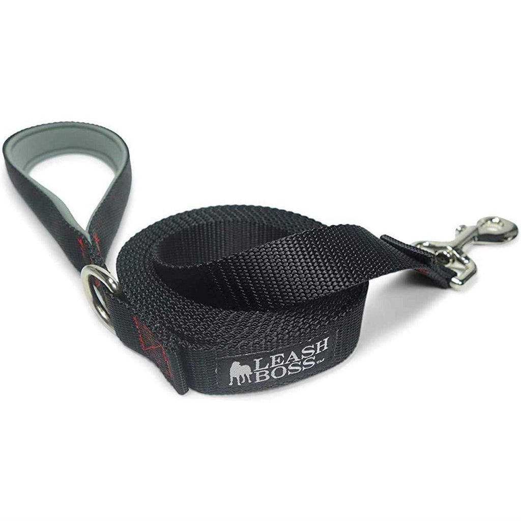 10 Foot Dog Leash with Padded Handle D73926