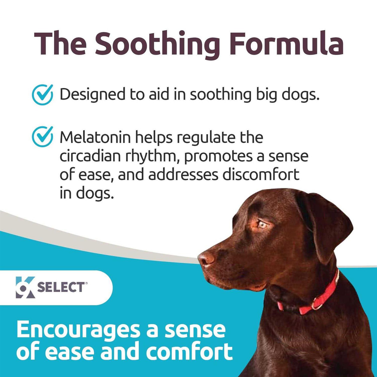 Melatonin for Dogs 6mg 90 Chewable Tablets Y685