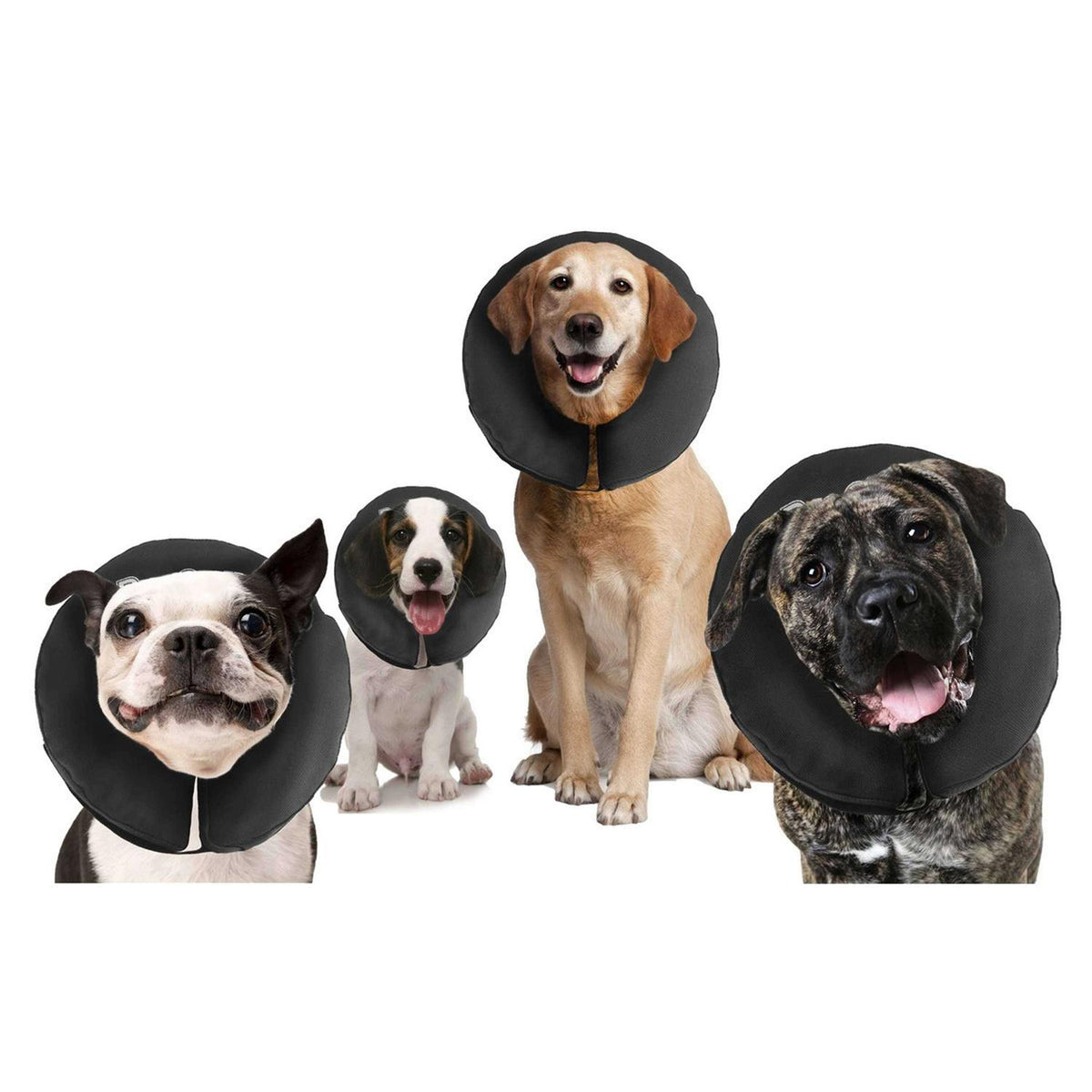 Inflatable Recovery Collar S503292