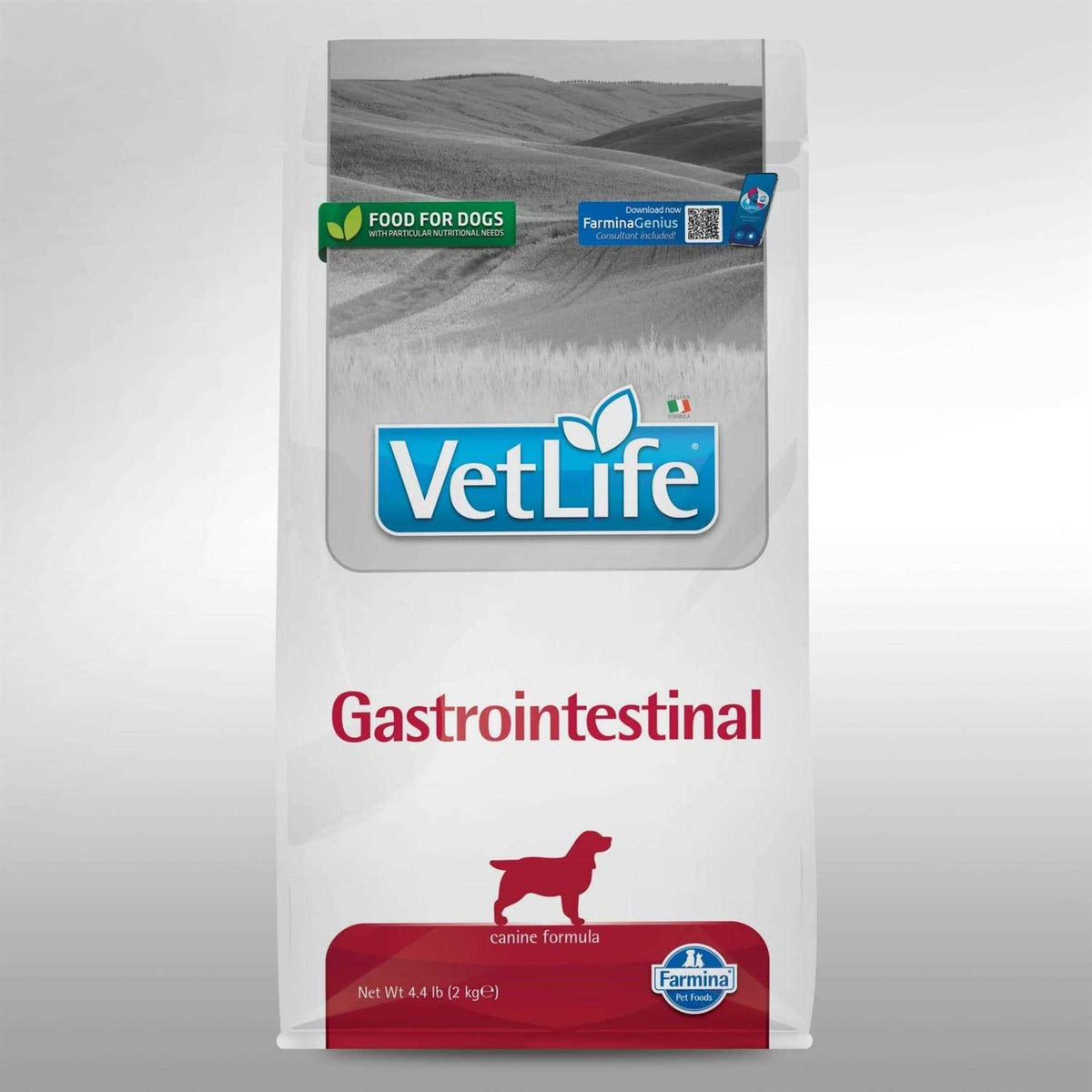 Canine Gastrointestinal 26.4lb Y4534