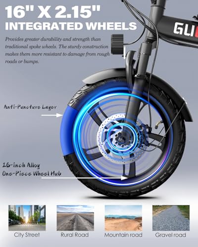 750W Folding Electric Bike with Removable Battery V9248