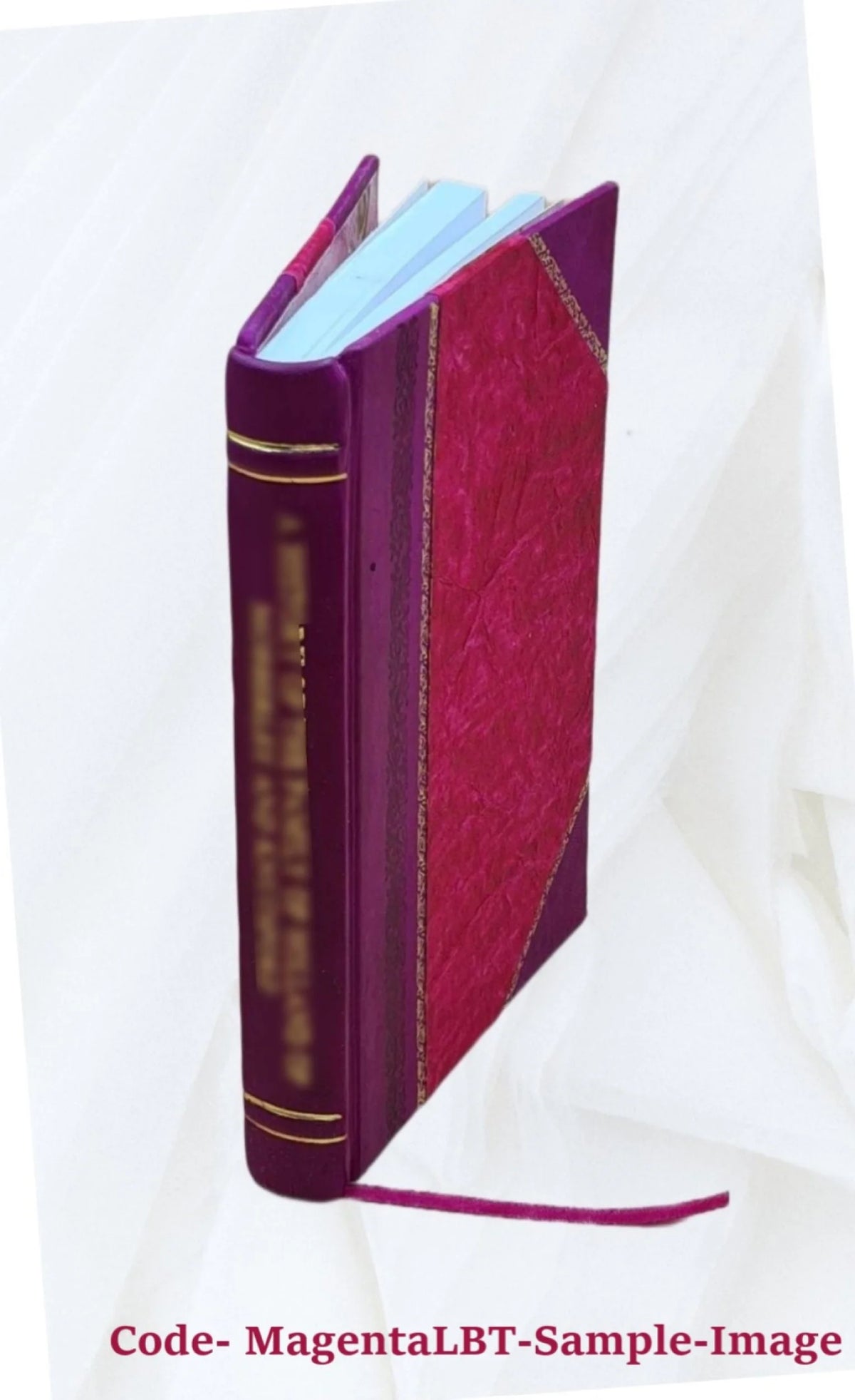 Leather Bound Book Y398