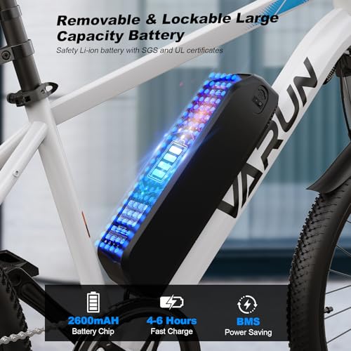Electric Bike 350W 36V Removable Battery 24'' Mountain Bike V48264