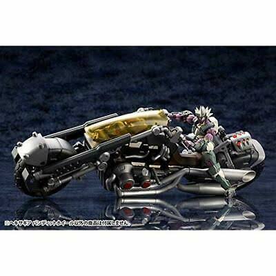 1/24 Scale Plastic Model Q795