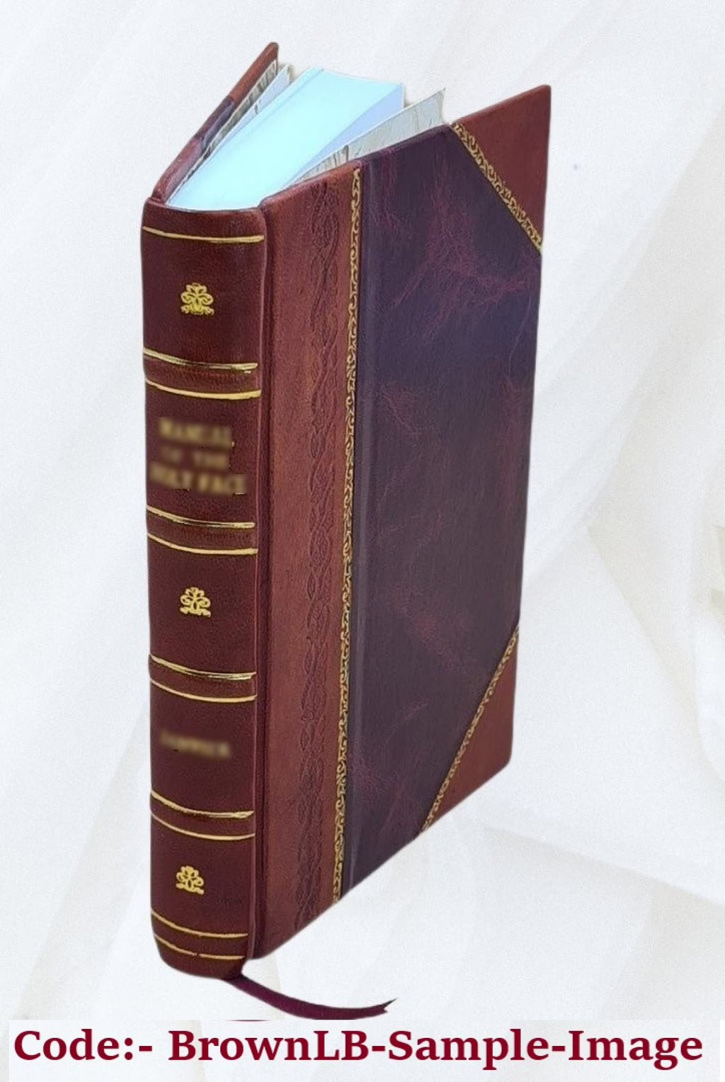 Leather Bound V6213