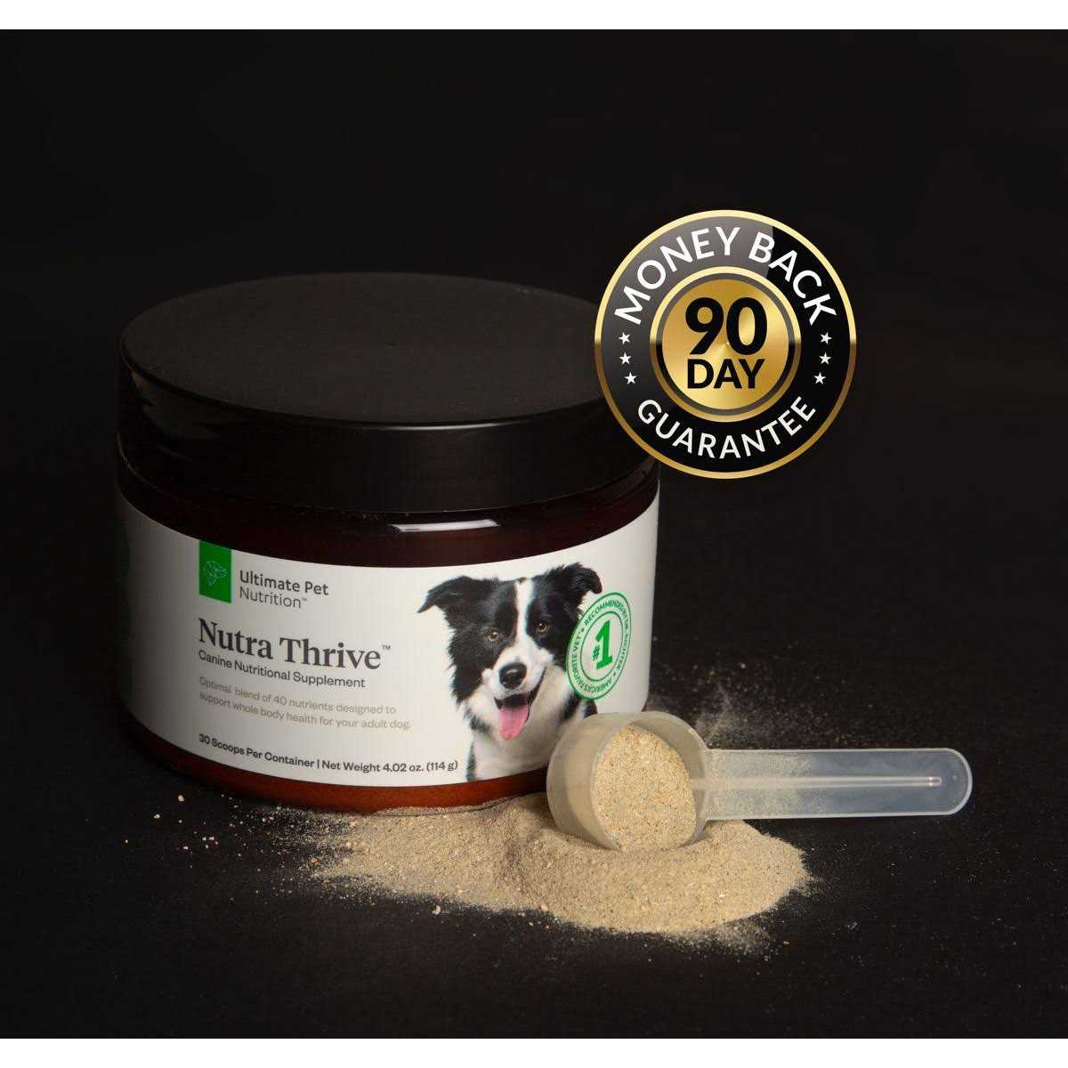 40-in-1 Multivitamin Powder Supplement for Dogs H52286
