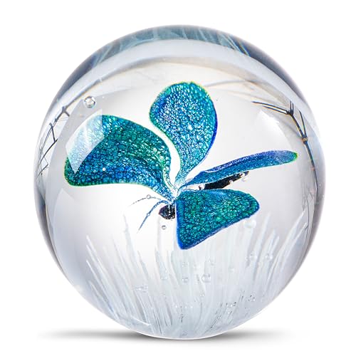 Hand Blown Glass Paperweight Y890