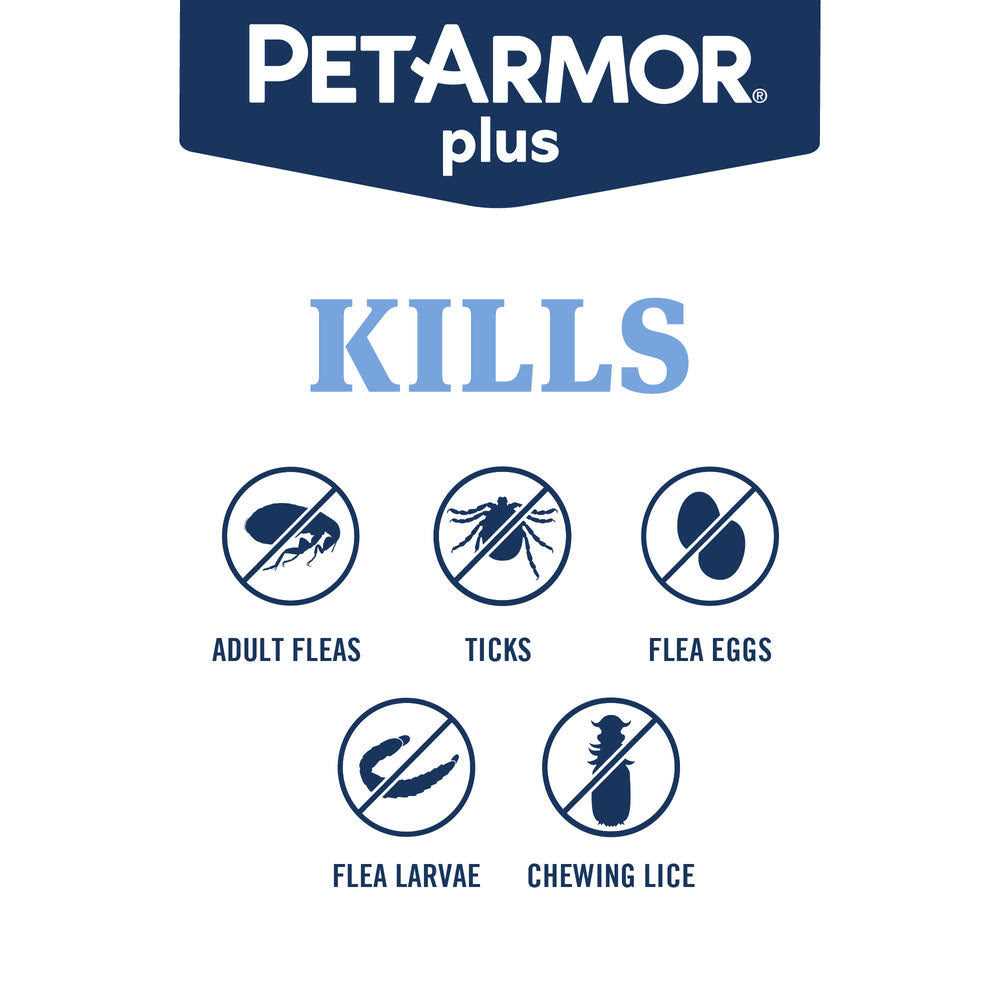 Flea and Tick Treatment for Cats K634998
