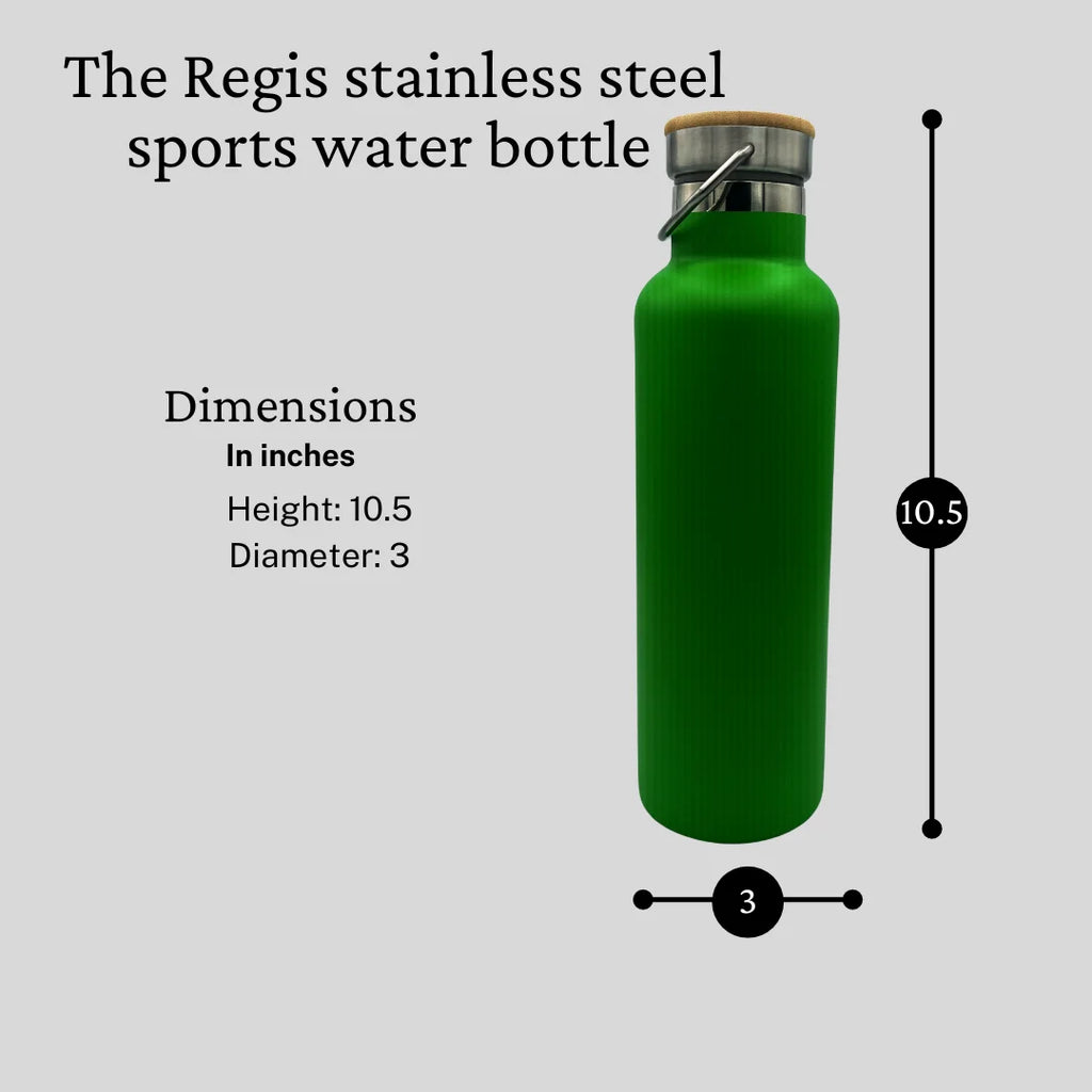 LIME Stainless Steel Sports Water Bottles 25oz S888535