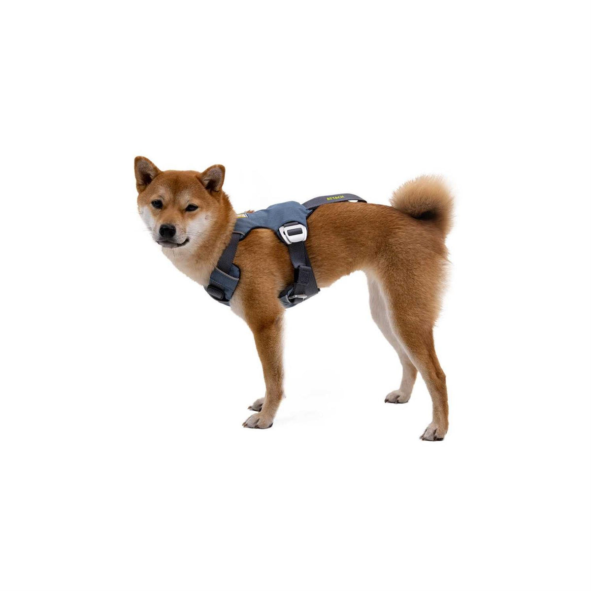 Load Up Harness M311