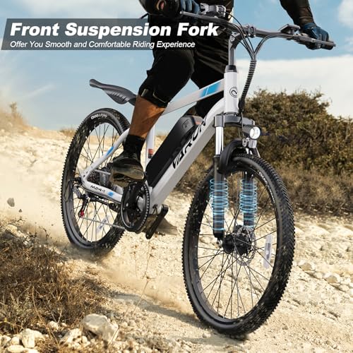 Electric Bike 350W 36V Removable Battery 24'' Mountain Bike V48264
