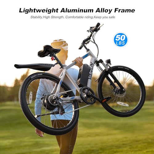 Electric Bike 350W 36V Removable Battery 24'' Mountain Bike V48264