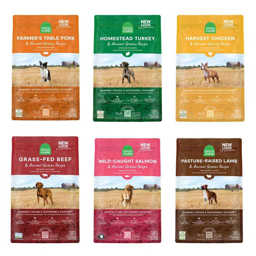 Harvest Chicken Ancient Grains Dry Dog Food W2897