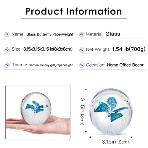 Hand Blown Glass Paperweight Y890