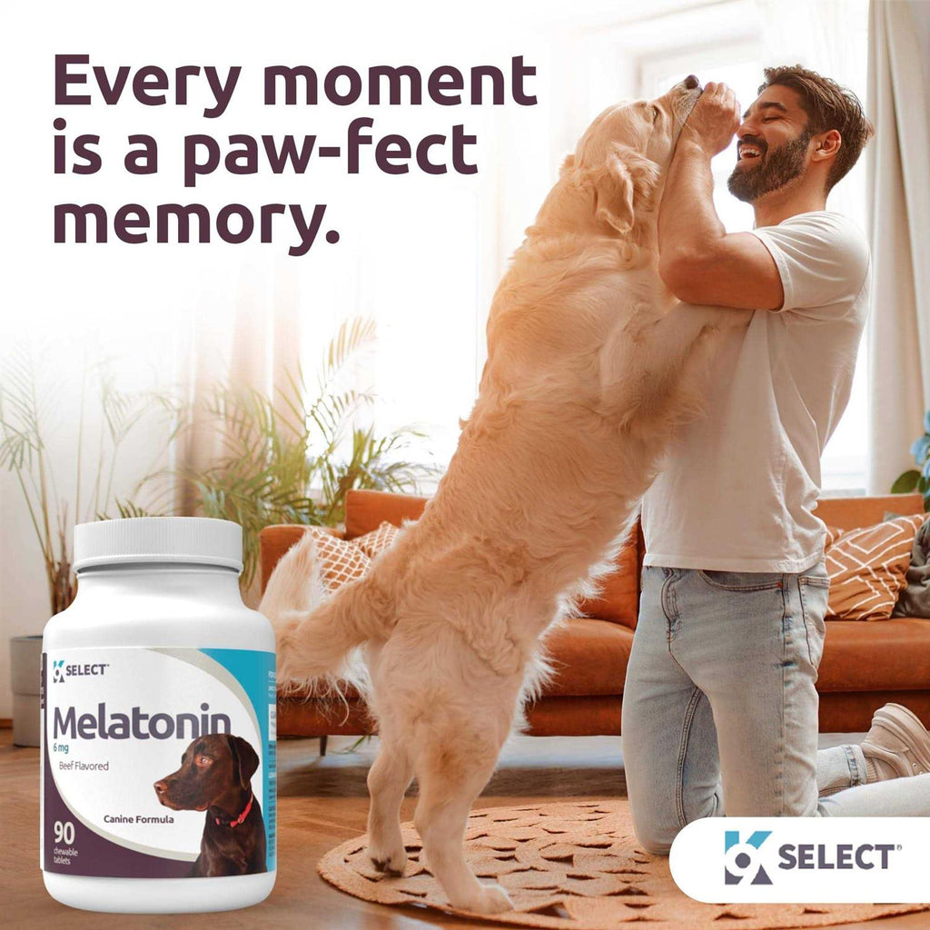 Melatonin for Dogs 6mg 90 Chewable Tablets Y685