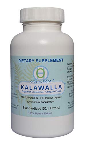 Kalawalla Polypodium Leucotomos 400mg 120 Veggie Caps H964911
