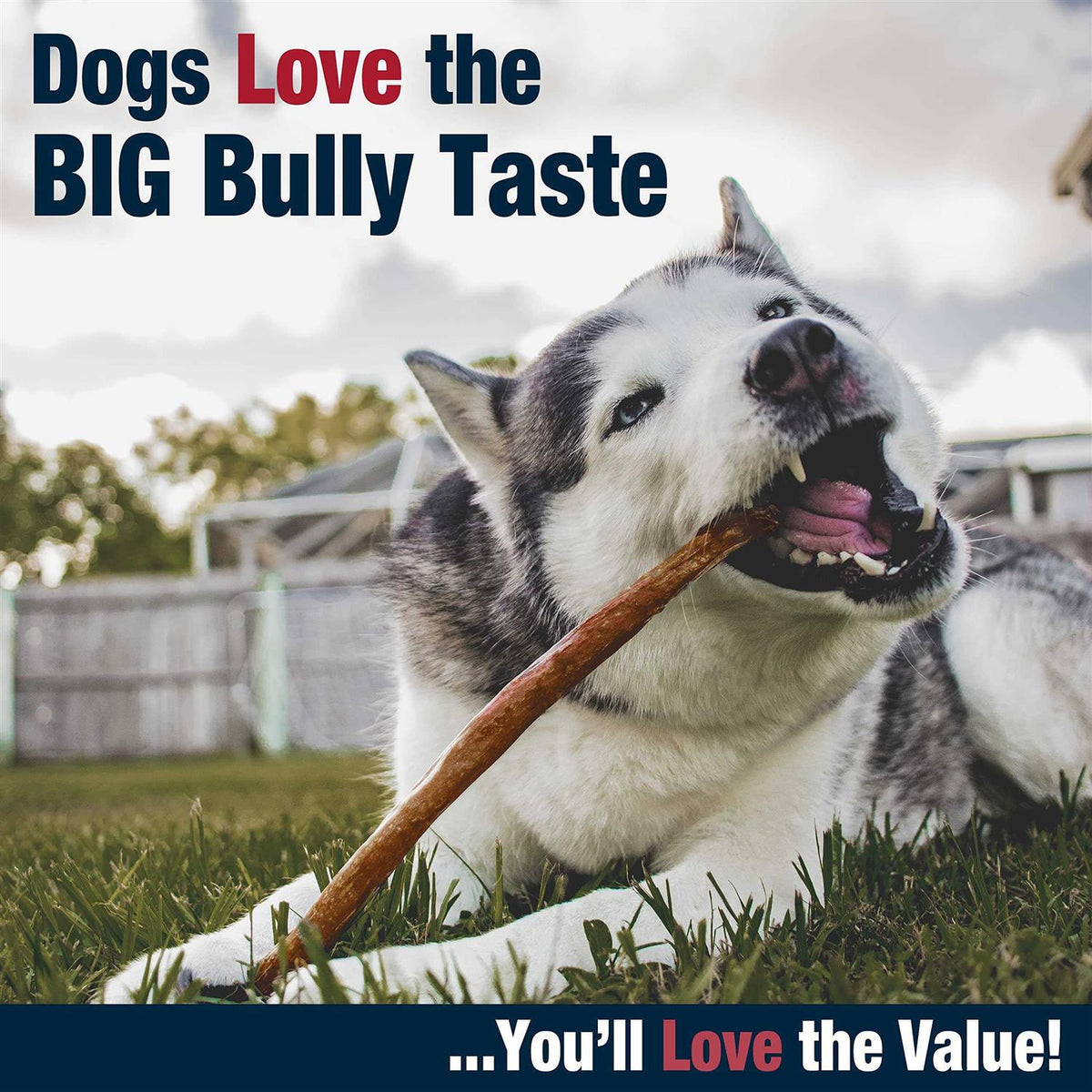 All-Natural Dog Chews P108