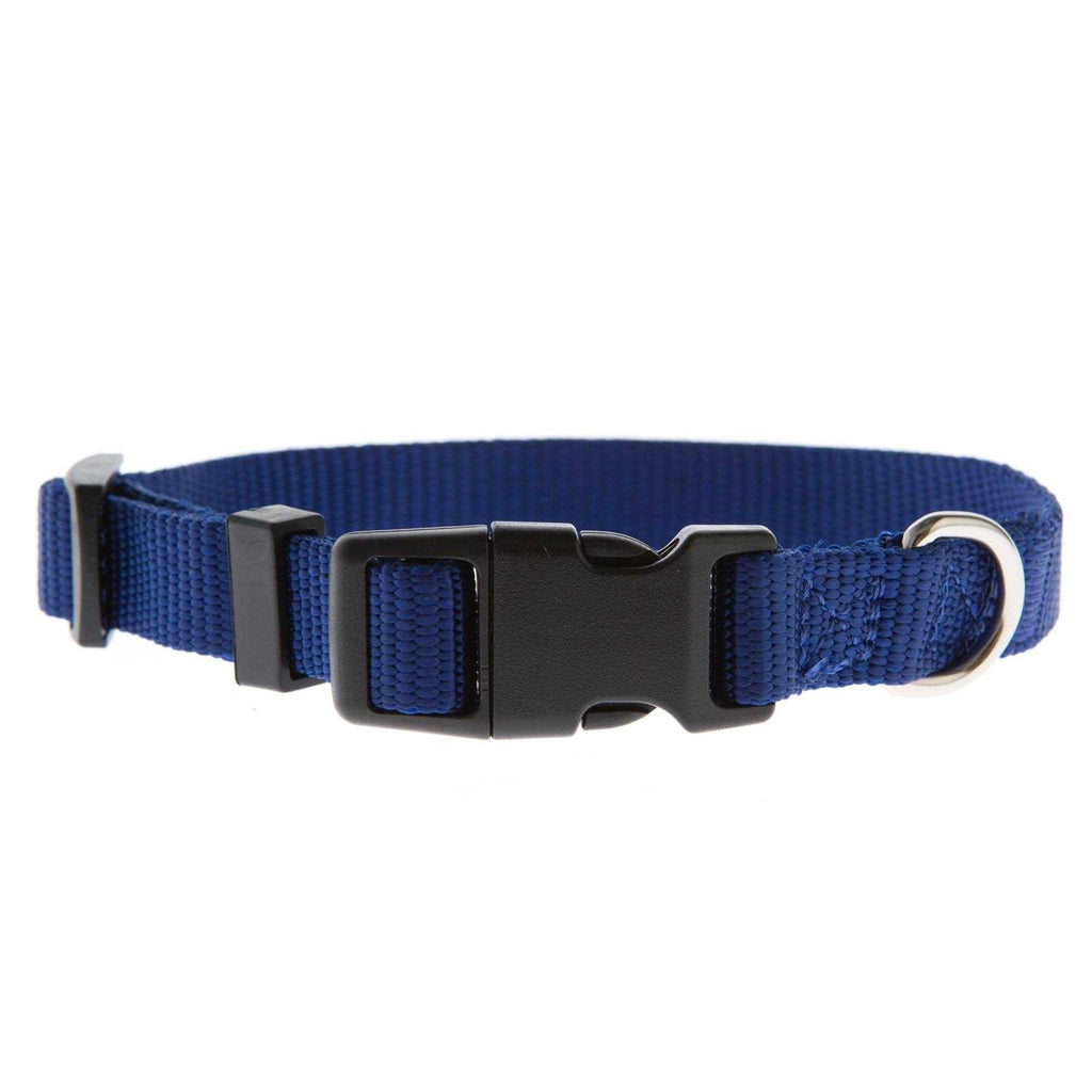 Dog Collar J36050
