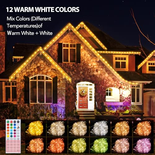 33ft Warm White 100 LED Rope Lights with Remote Y198