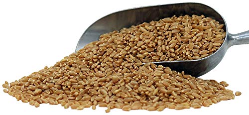 Organic Hard White Wheat Berries L924