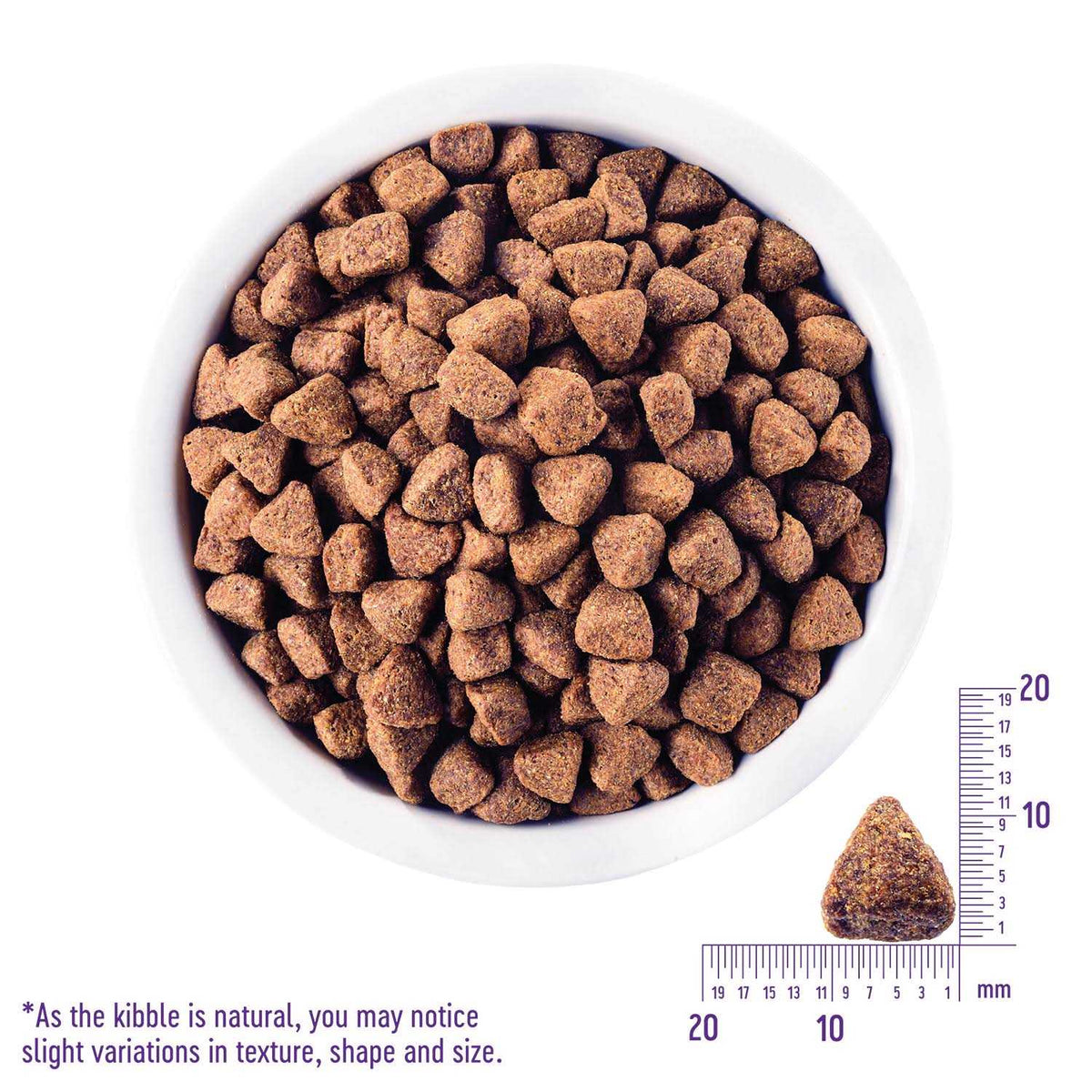 Grain-Free Reduced Fat Dry Dog Food B5391